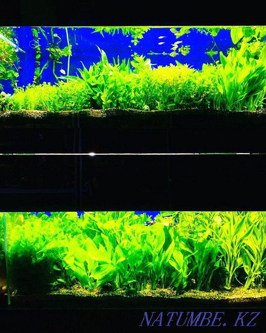 3-комнатная квартира Алматы - изображение 2