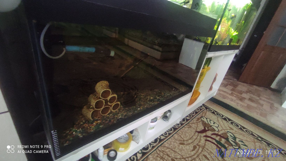 3-комнатная квартира Актобе - изображение 3