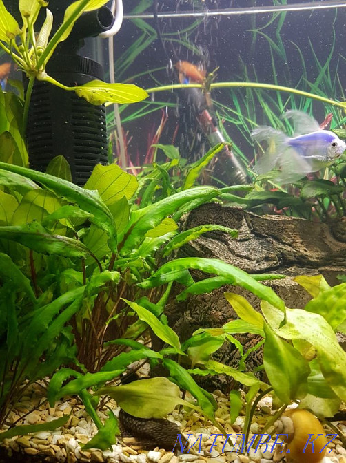 3-room apartment Pavlodar - photo 4