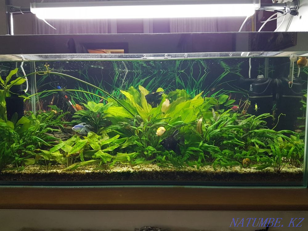 3-room apartment Pavlodar - photo 1