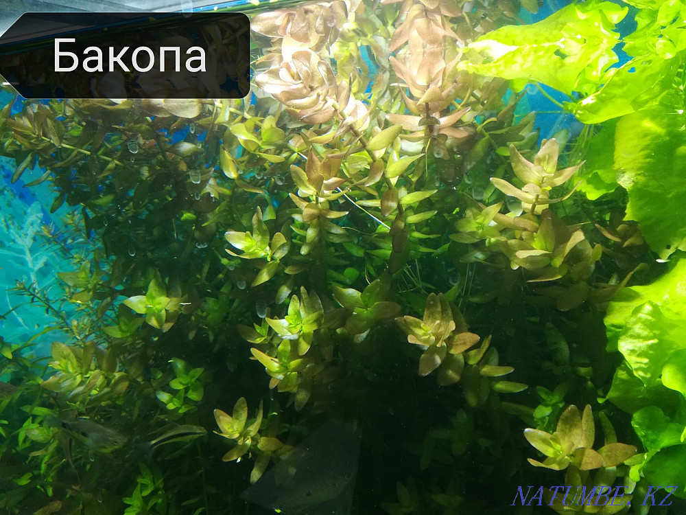 3-room apartment Aqtau - photo 2