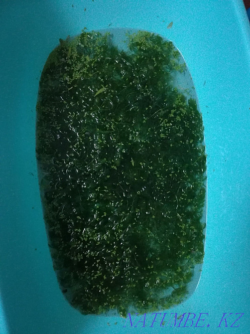 3-room apartment Aqtau - photo 5