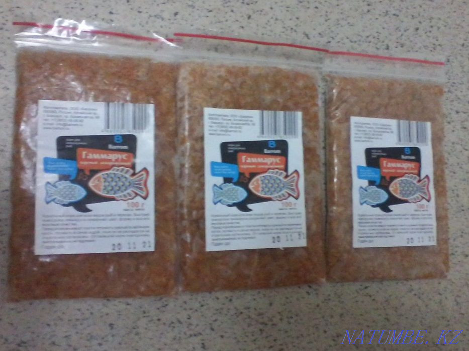 3-комнатная квартира Алматы - изображение 1