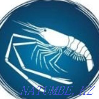 3-комнатная квартира Алматы - изображение 2