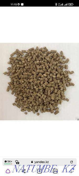 3 бөлмелі пәтер  Алматы - изображение 1