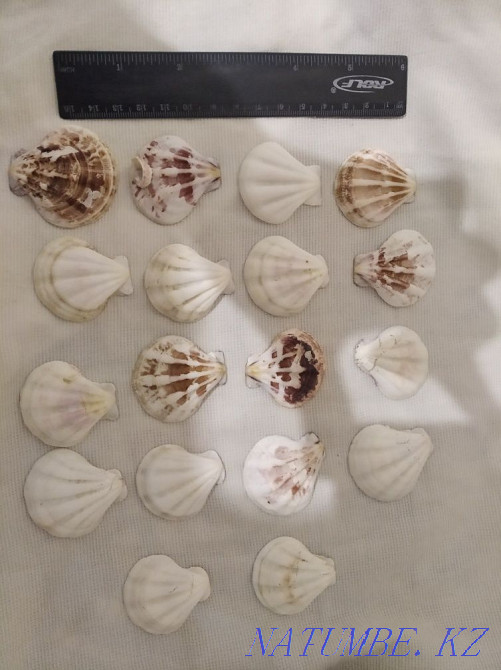 3-комнатная квартира Актобе - изображение 2