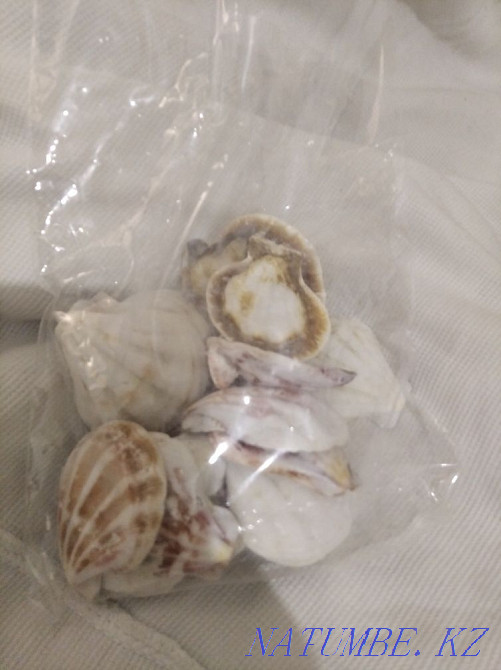 3-комнатная квартира Актобе - изображение 3