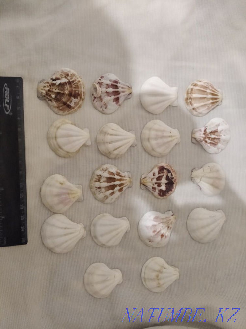 3-комнатная квартира Актобе - изображение 1