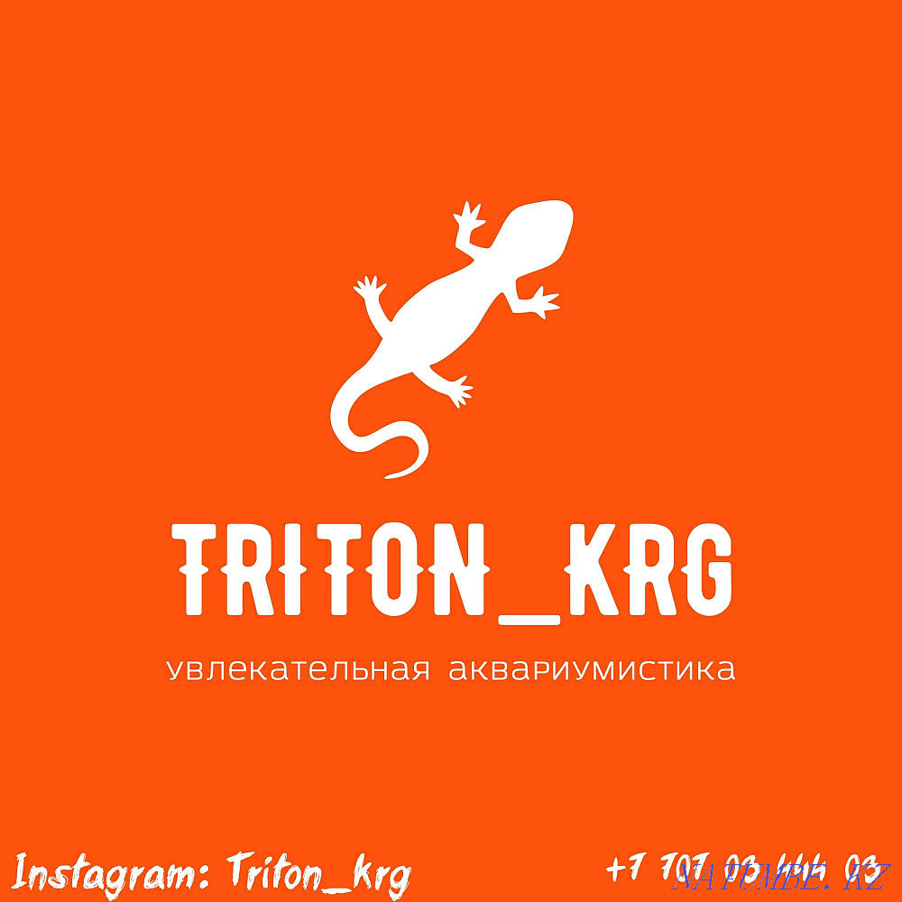 3-room apartment Karagandy - photo 8