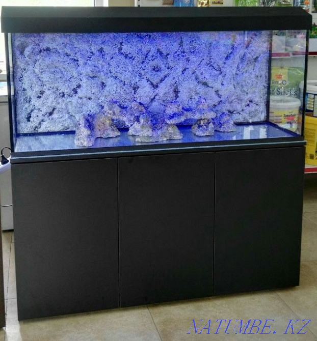 3-комнатная квартира Усть-Каменогорск - изображение 2