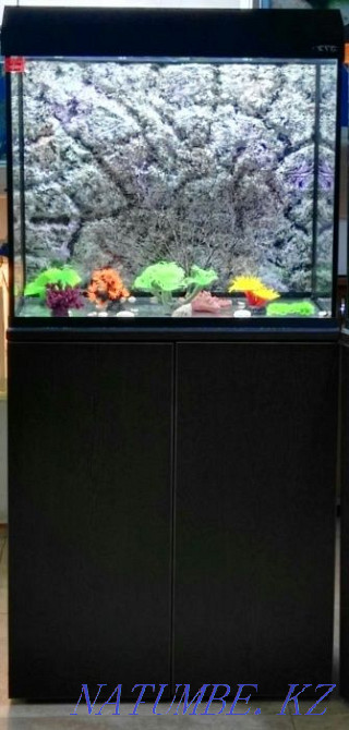 3-комнатная квартира Усть-Каменогорск - изображение 5