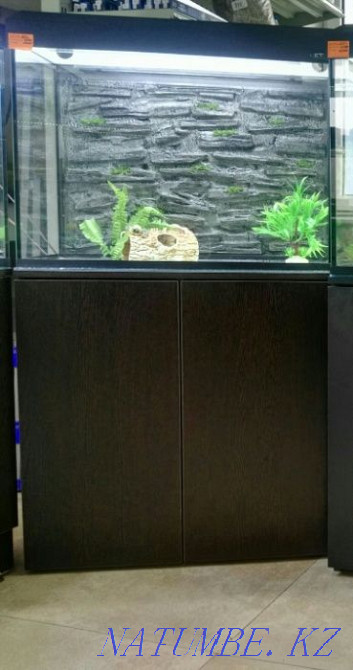 3-комнатная квартира Усть-Каменогорск - изображение 4