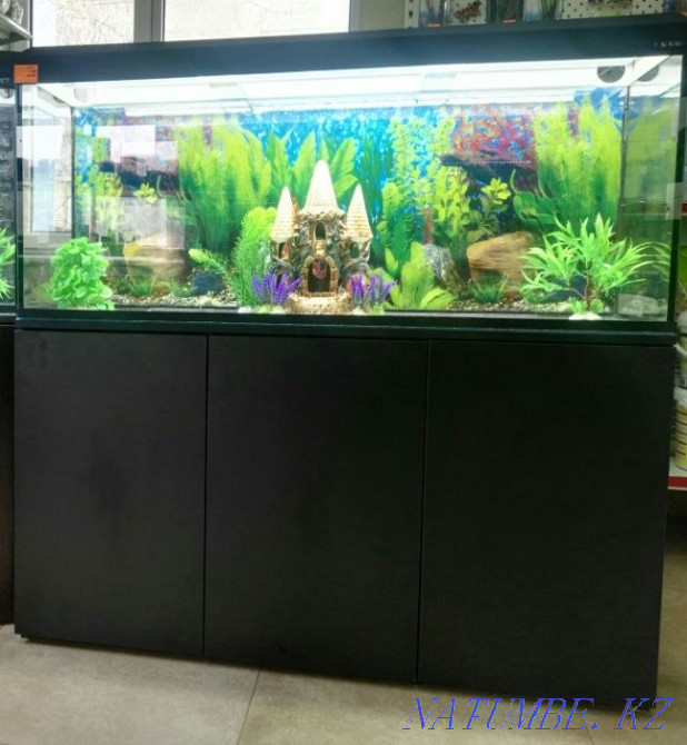 3-комнатная квартира Усть-Каменогорск - изображение 1