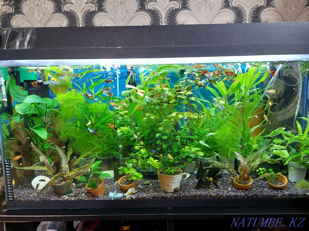 3-комнатная квартира Алматы - изображение 1