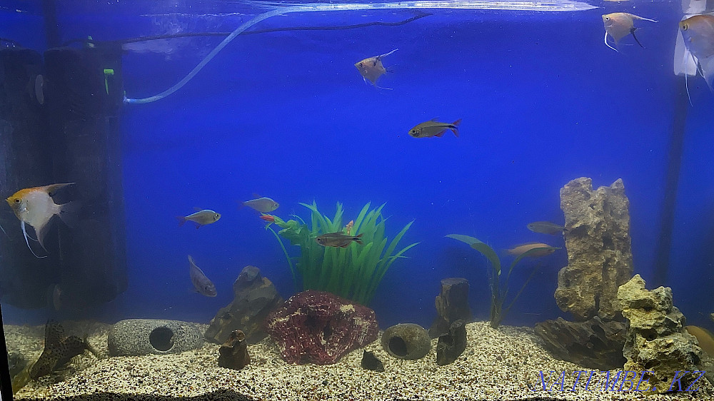 3-room apartment Kostanay - photo 1