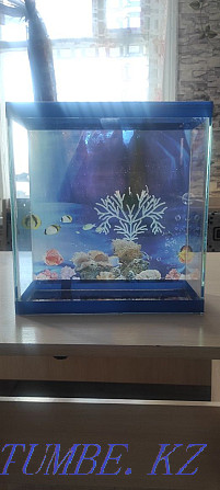 Aquarium Aquarium Aquarium Shemonaikha - photo 1