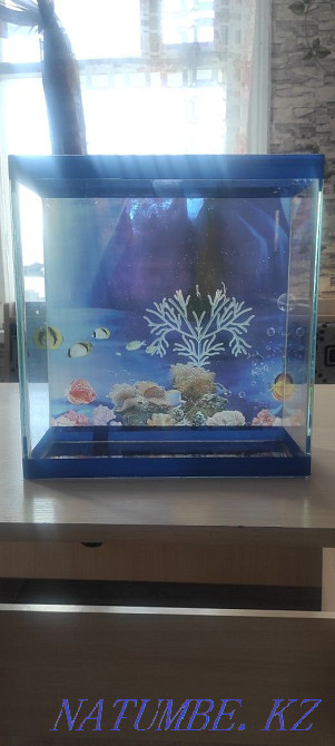 Aquarium Aquarium Aquarium Shemonaikha - photo 1