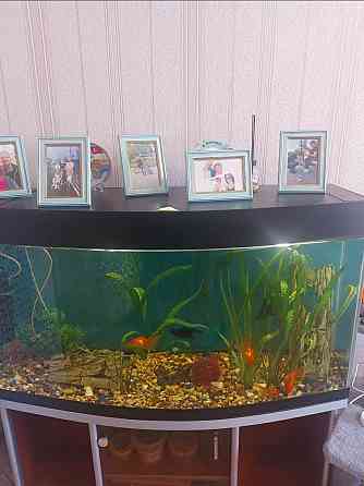 Продам аквариум 300 л Астана