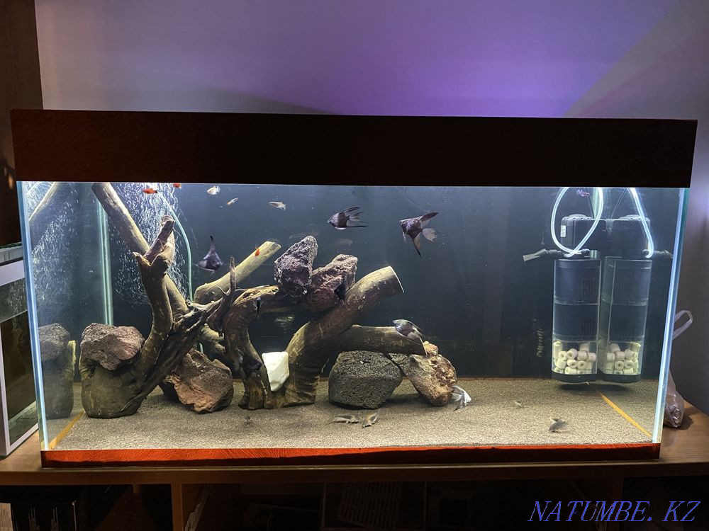 Аквариум 200литр полный Атырау - изображение 1