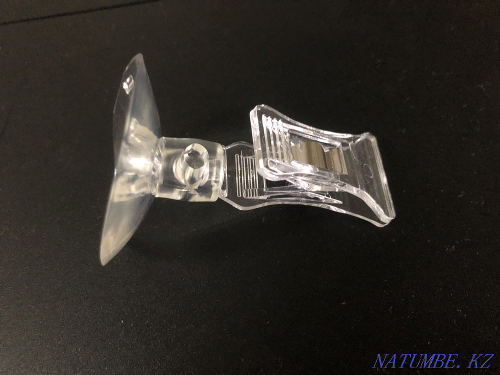 Clothespin on the sucker in the aquarium Astana - photo 2