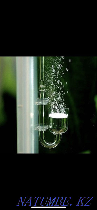 Diffuser (sprayer) CO2 (carbon dioxide) for the aquarium Astana - photo 2