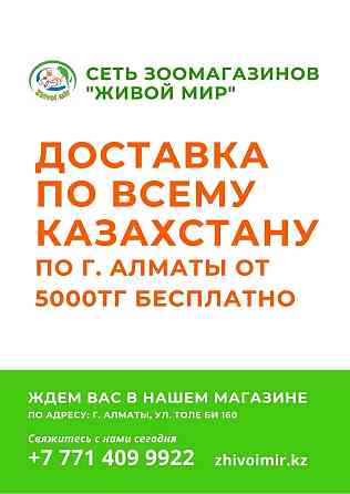 Замороженные корма для рыб в зоомагазине "ЖИВОЙ МИР" Almaty