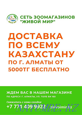 Замороженные корма для рыб в зоомагазине "ЖИВОЙ МИР" Алматы - изображение 6