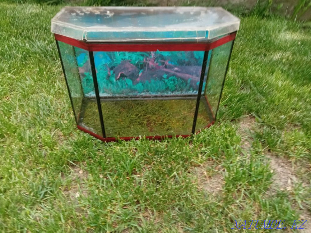 Продам аквариум Алматы - изображение 3