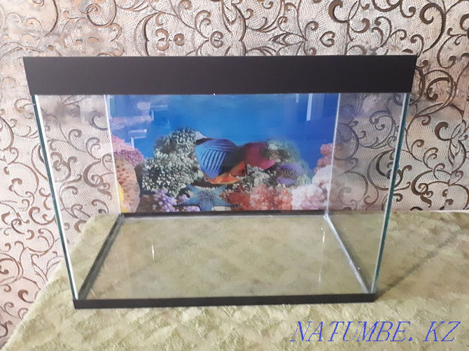 Продам новый аквариум Жезказган - изображение 1