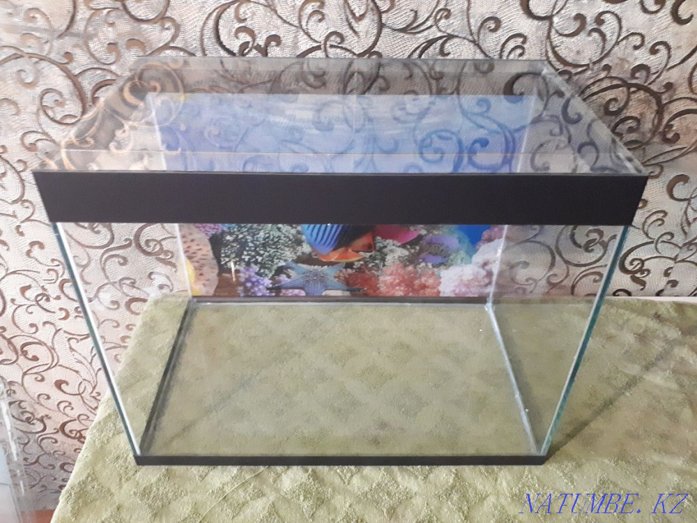 new aquarium for sale Zhezqazghan - photo 2