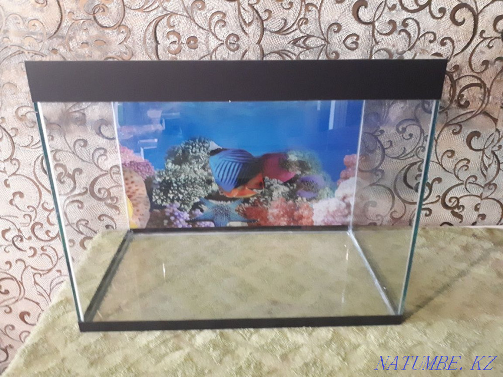 new aquarium for sale Zhezqazghan - photo 1