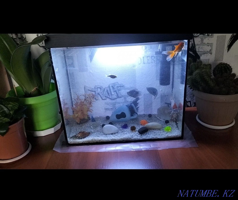 Продам аквариум .  - изображение 1