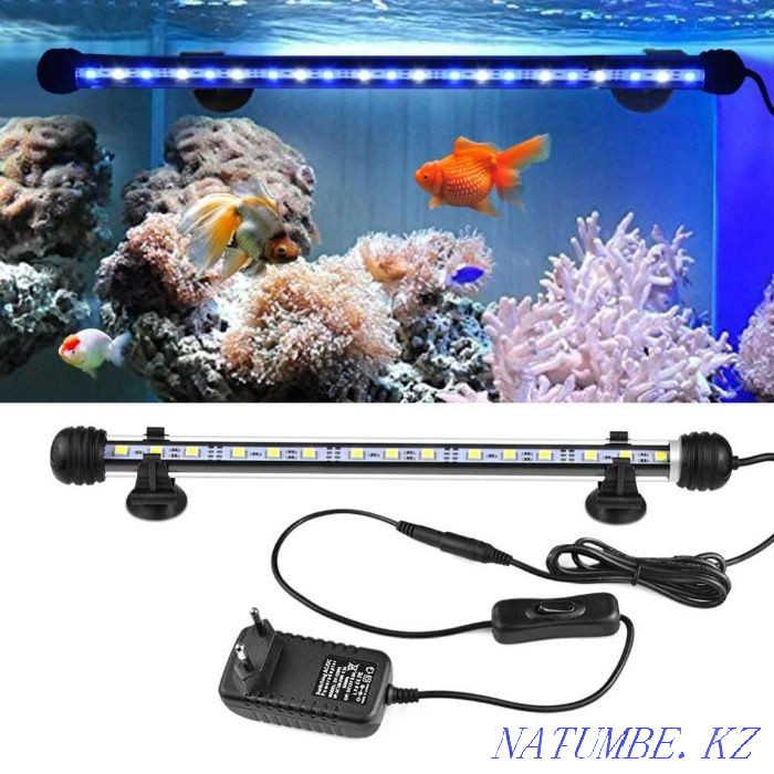 Продажа аквариумного оборудования в Аква -Зоо салоне " Посейдон"!!! Усть-Каменогорск - изображение 2