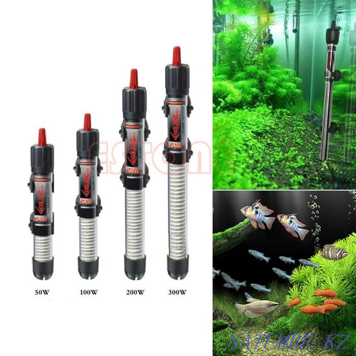 Продажа аквариумного оборудования в Аква -Зоо салоне " Посейдон"!!! Усть-Каменогорск - изображение 7