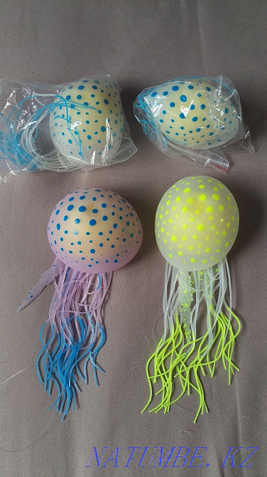 Jellyfish algae stones shells Astana - photo 1