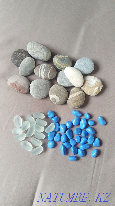 Jellyfish algae stones shells Astana - photo 3