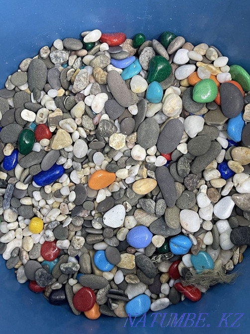 Аквариум с рыбками Алматы - изображение 2