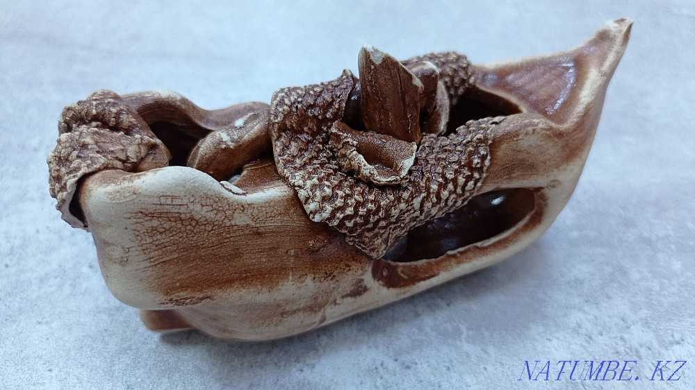 Аквариумға арналған декор кеме  Астана - изображение 1