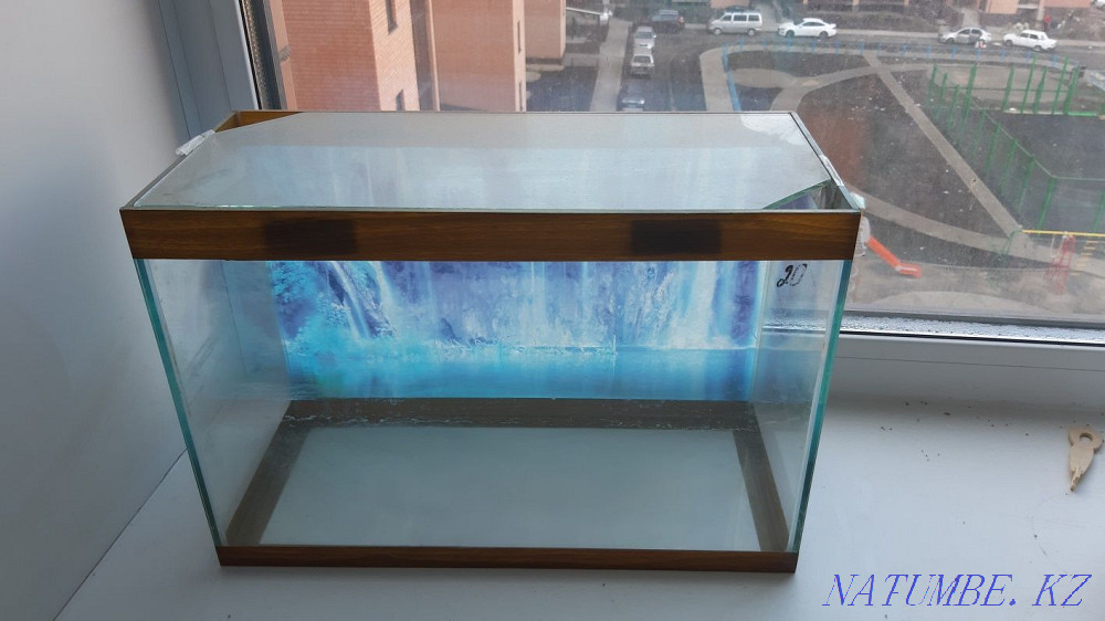 балық аквариумы сатылады  Петропавл - изображение 1