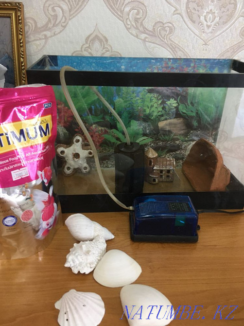 Аквариум 12,5-13 л. Астана - изображение 1