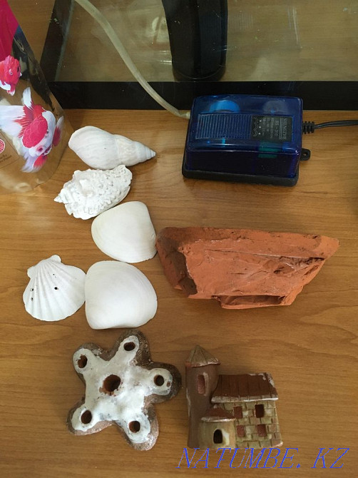 Аквариум 12,5-13 л. Астана - изображение 2