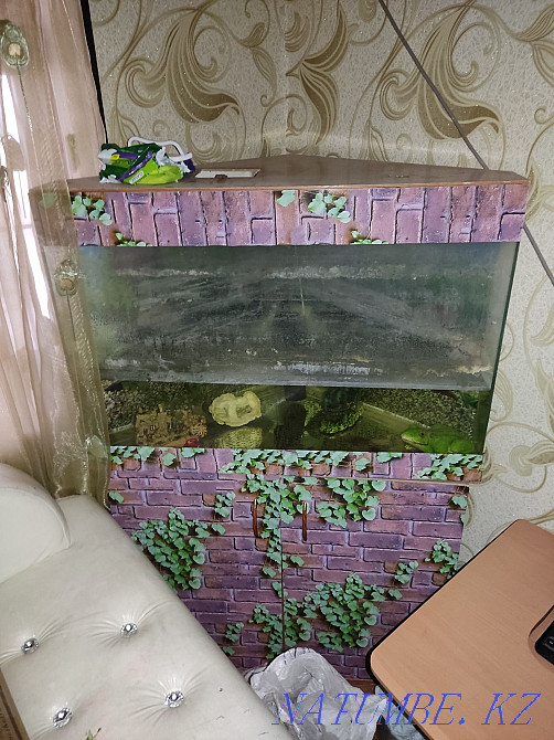 Aquarium corner Талас - photo 1
