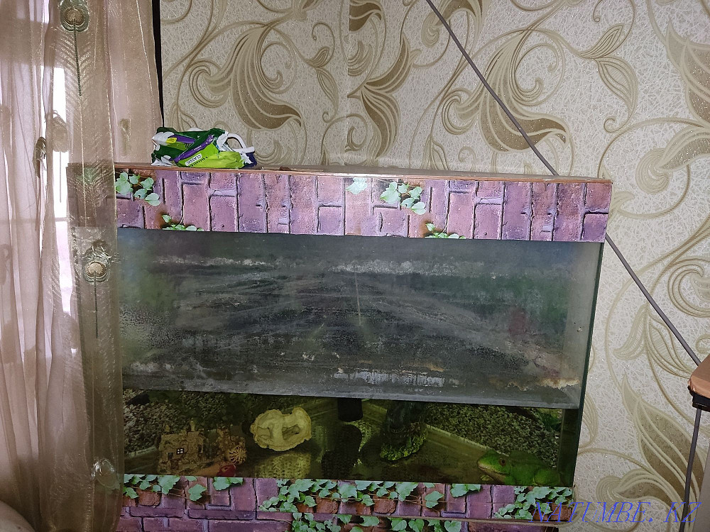 Aquarium corner Талас - photo 2