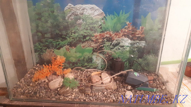 Aquarium for sale Taraz - photo 2