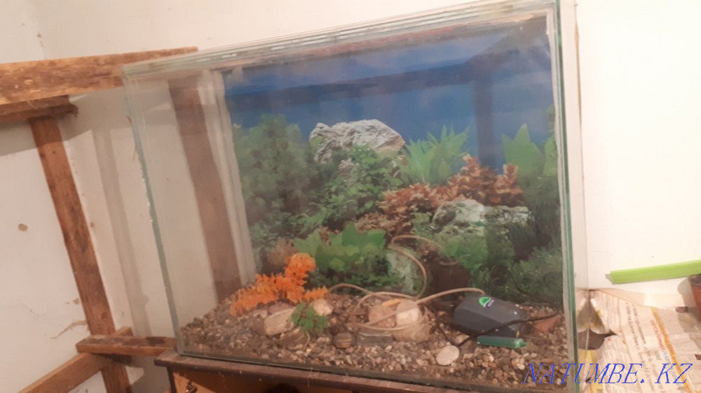 Aquarium for sale Taraz - photo 1