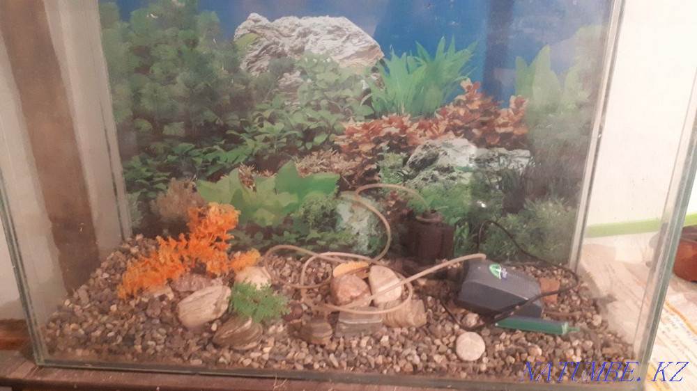 Aquarium for sale Taraz - photo 2