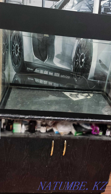 Аквариум на 180 литров с красноухой черепахой Петропавловск - изображение 3