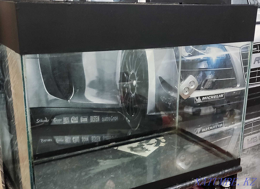 Аквариум на 180 литров с красноухой черепахой Петропавловск - изображение 2