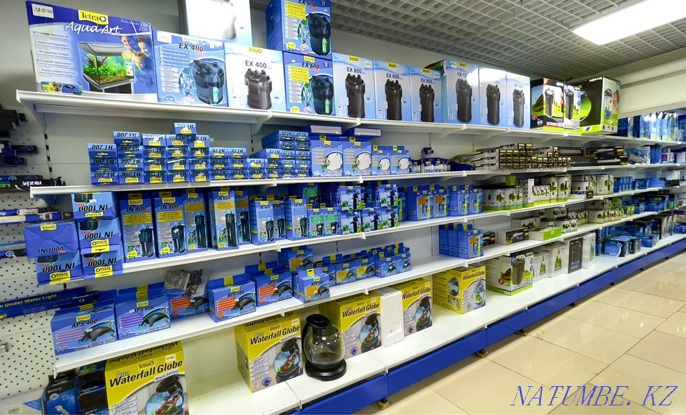 Nets in the pet store "LIVOY WORLD" Almaty - photo 4