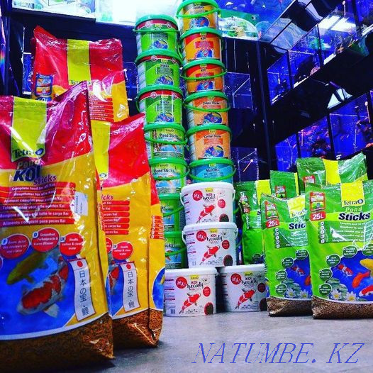 Food for pond fish Tetra in the pet store "Live Corner" Almaty - photo 1